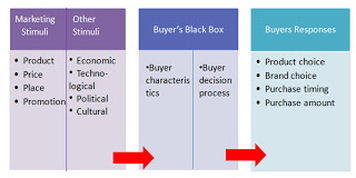 understanding consumer buying behavior